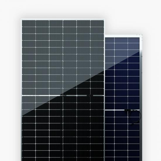 Bifacial Transparent Backsheet PV Module