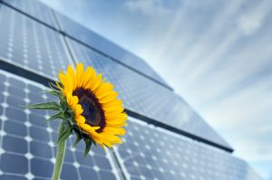 Jinko Solar signs Vietnam's first batch of household energy storage orders